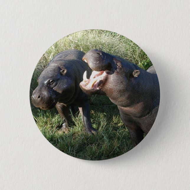 Hippopotamus 6 Cm Round Badge (Front)