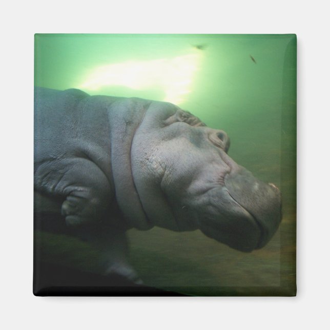 Hippopotamus Abstract Magnet (Front)