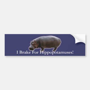 Hippopotamus Bumper Sticker
