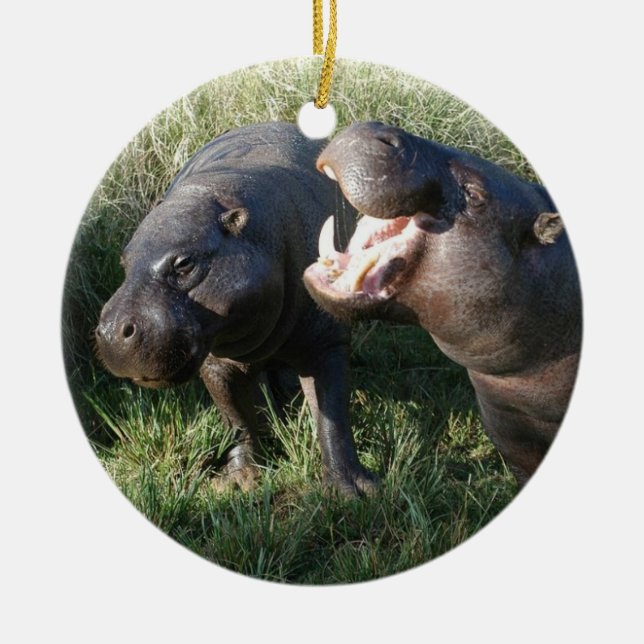 Hippopotamus Ceramic Tree Decoration (Front)