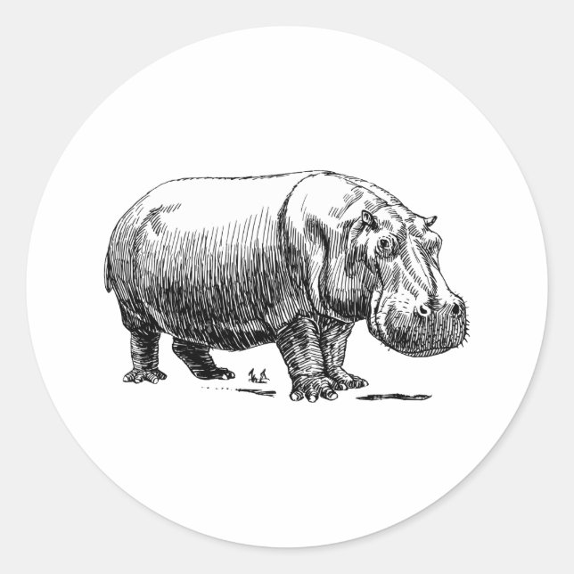 Hippopotamus Classic Round Sticker (Front)