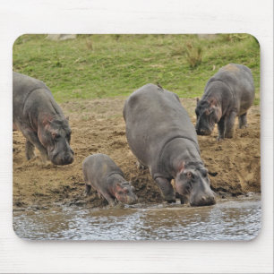 Hippopotamus, Hippopotamus amphibius, Serengeti Mouse Mat