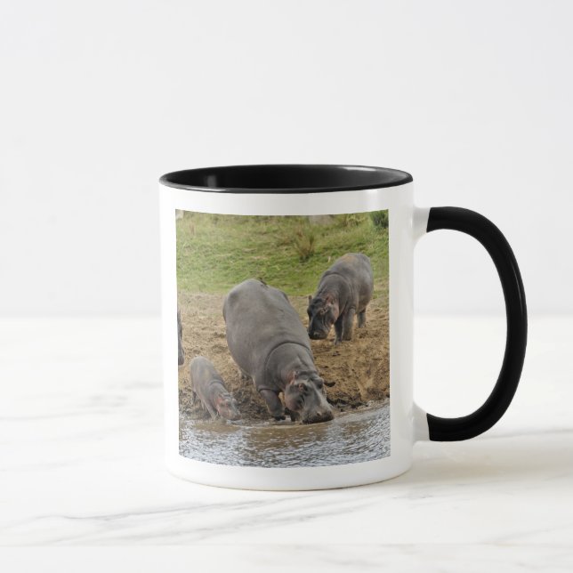 Hippopotamus, Hippopotamus amphibius, Serengeti Mug (Right)