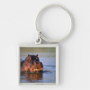 Hippopotamus in River Key Ring