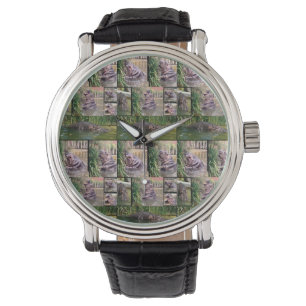 Hippopotamus Photo Collage, Mens Watch