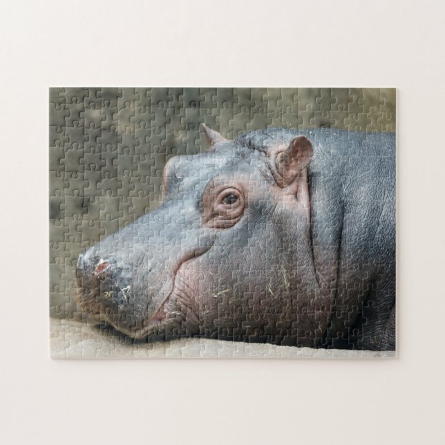 Hippopotamus photo puzzle (Horizontal)