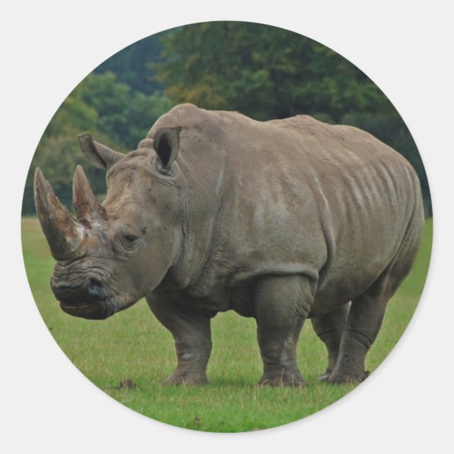 Hippopotamus stickers (Front)