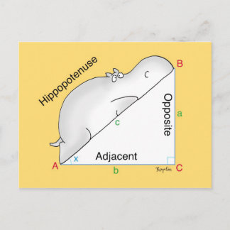 HIPPOPOTENUSE postcard by Sandra Boynton