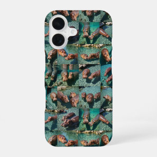 Hippos at Play: A Pond Paradise iPhone 16 Case