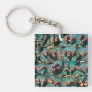Hippos at Play: A Pond Paradise Key Ring