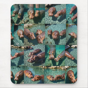 Hippos at Play: A Pond Paradise Mouse Mat