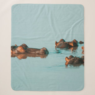 HIPPOS COOLING OFF IN THE DAM SHERPA BLANKET