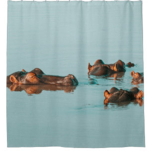 HIPPOS COOLING OFF IN THE DAM SHOWER CURTAIN