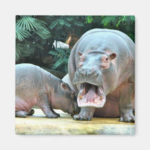 Hippos Magnet