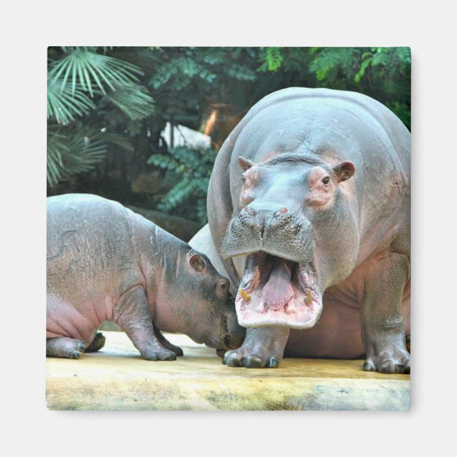 Hippos Magnet (Front)