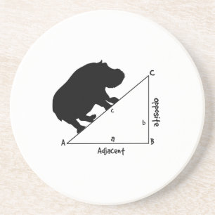 Hippotenuse Coaster