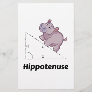 Hippotenuse Funny Math