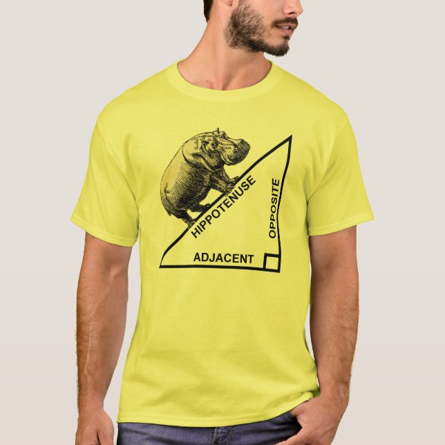 Hippotenuse Hypotenuse Funny Math Geometry T-Shirt (Front)