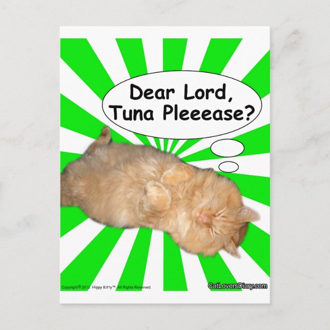 Hippy Kitty Dear Lord, Tuna Pleeease? Postcard (Front)