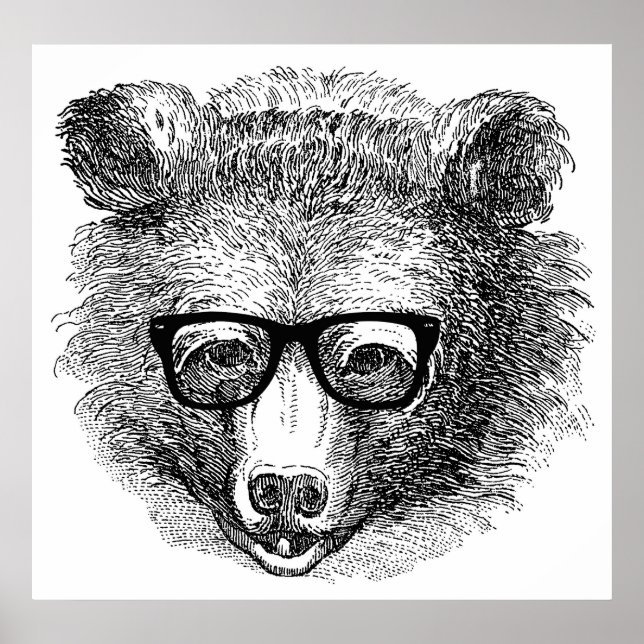 Hipster Bear Poster (Front)