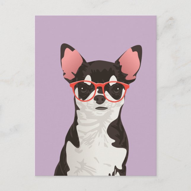 Hipster Black and White Coat Chihuahua Postcard (Front)