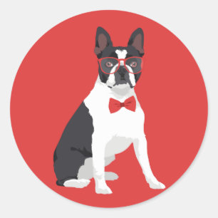 Hipster Boston Terrier with Red Glasses & Bow Tie Classic Round Sticker