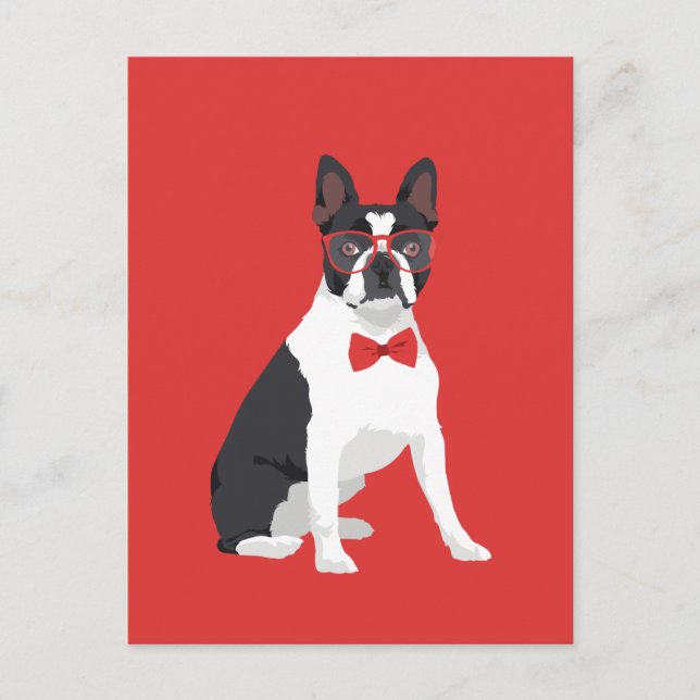 Hipster Boston Terrier with Red Glasses & Bow Tie Postcard (Front)