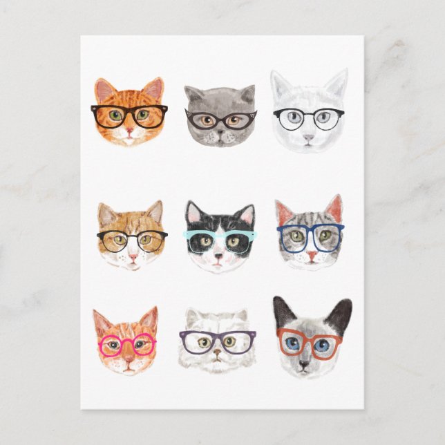 Hipster Cats Postcard (Front)