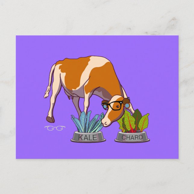 Hipster Cow Postcard (Front)