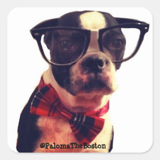 Hipster dog with glasses! square sticker