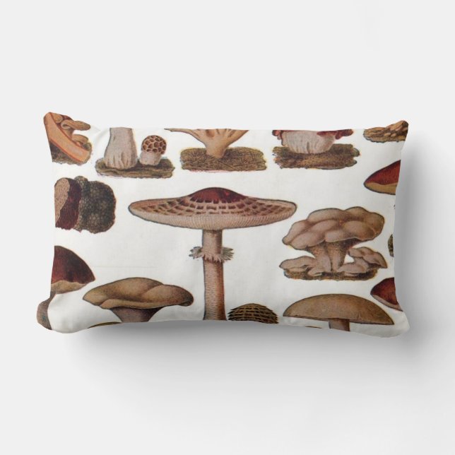 hipster french botanical print vintage mushrooms lumbar cushion (Front)