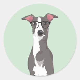 Hipster Italian Greyhound Dog for Dog Lovers Classic Round Sticker
