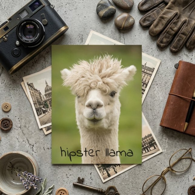 Hipster LLama Funny Hairdo Postcard (Creator Uploaded)