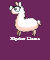Hipster Llama