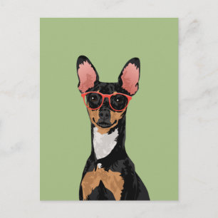 Hipster Miniatur Pinscher Postcard for Dog Lovers