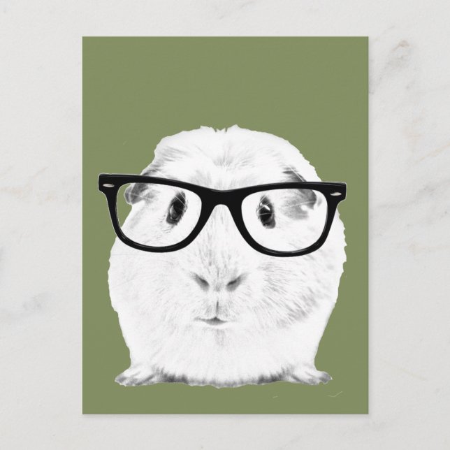 Hipster Pigster Postcard (Front)