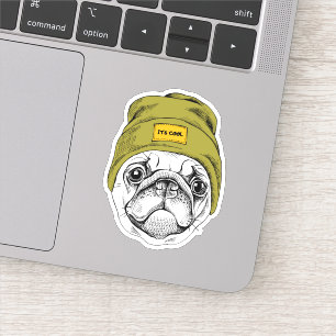 Hipster Pug It's Cool