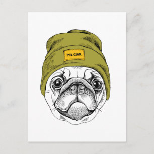 Hipster Pug It's Cool Postcard