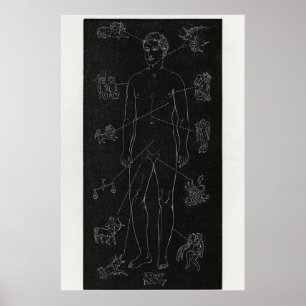 Hiram Eratus Butler - Solar Biology Poster