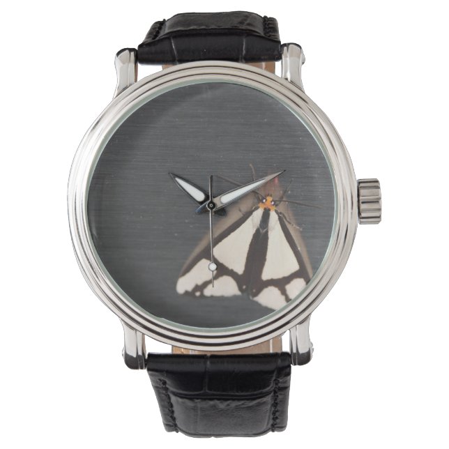 His Coolest watch (Front)