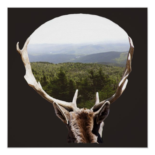 His Domain Poster (Front)