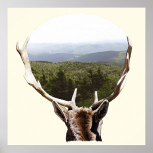 His Domain Poster