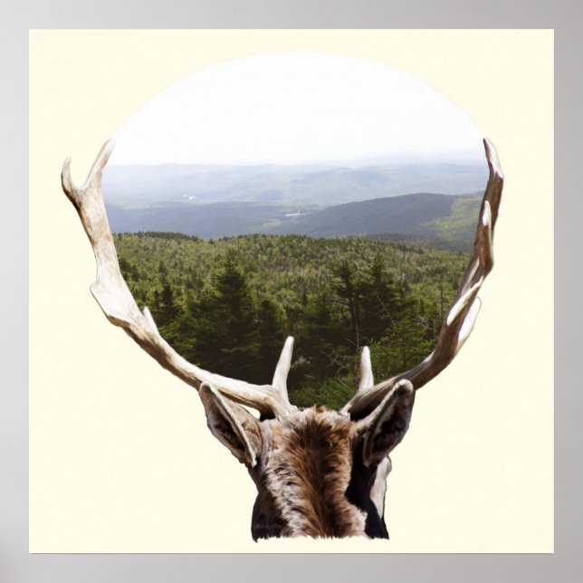 His Domain Poster (Front)