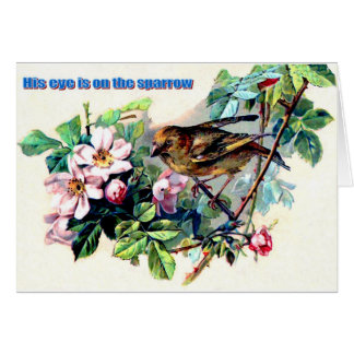His eye is on the sparrow