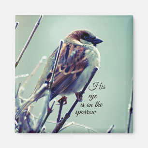 HIs eye is on the Sparrow Magnet