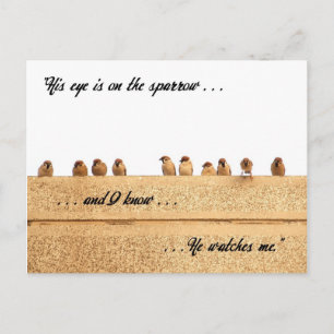 His Eye is on the Sparrow . . . Postcard
