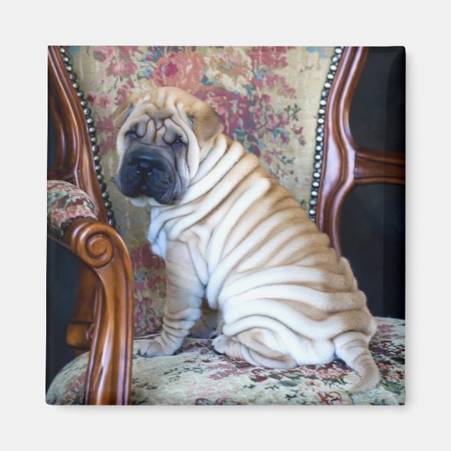 His Favourite Chair Magnet (Front)