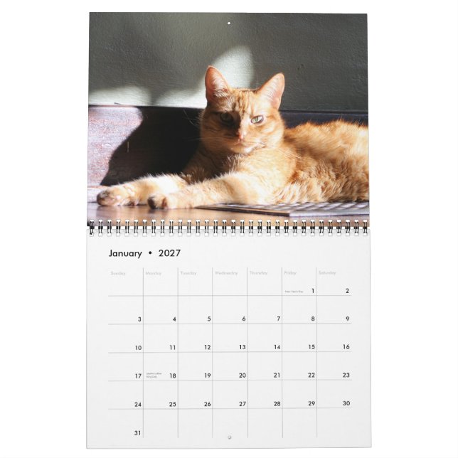 His Majesty The Cat 2013 Calendar (Jan 2027)