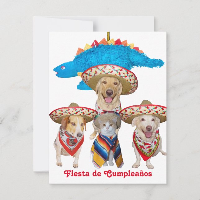 Hispanic Theme Kids Birthday Party Invitation (Front)