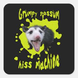 Hiss Machine Funny Grumpy Opossum Feral Humour Square Sticker